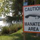 Un cartel de aviso de la presencia de manatíes en Florida. Foto: Florida Fish and Wildlife / Flickr